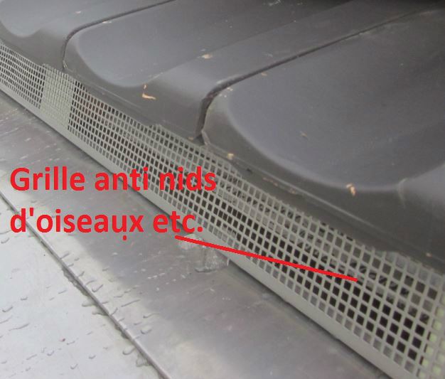 Protection nids d'oiseaux